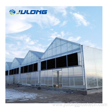 Solid polycarbonate sheet steel structure tomato greenhouse